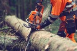 Αλυσοπρίονο Husqvarna 564XP με λάμα και αλυσίδα 20" X-Tough Light