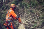 Αλυσοπρίονο Husqvarna 564XP με λάμα και αλυσίδα 20" X-Tough Light