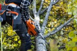 Αλυσοπρίονο Husqvarna 445S με Λάμα &amp; Αλυσίδα 18"